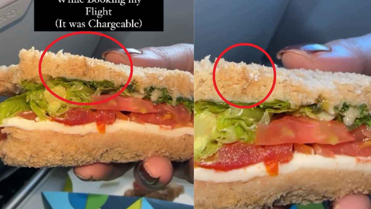 IndiGo की फ्लाइट में महिला ने मंगाया सैंडविच, पहली ही बाइट में निकला रेंगता हुआ कीड़ा