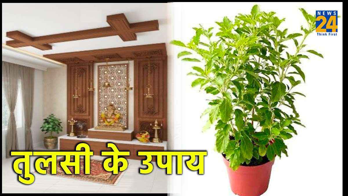 Tulsi Upay: घर के पवित्र 3 स्थान पर रखें तुलसी की मंजरी, सभी संकटों से मिलेगी मुक्ति