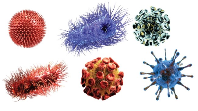 next pandemic 2024 new pandemic disease x epidemic nipah virus 2023 new virus news today new pandemic 2023 pandemic definition marburg virus