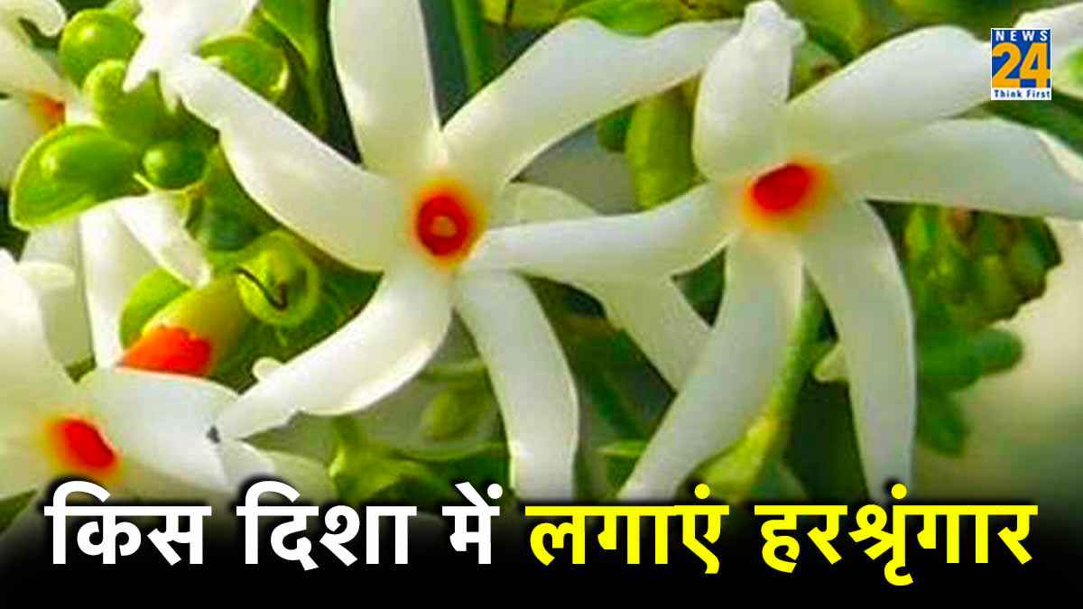 Vastu Tips Harshringar Plant