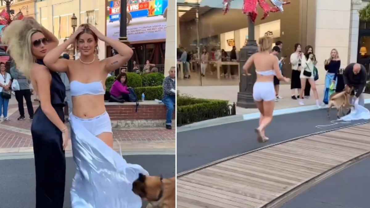 Funny Video: लड़की फोटो के लिए मजे से दे रही थी पोज, अचानक कुत्ता आया और खींच ले गया गाउन