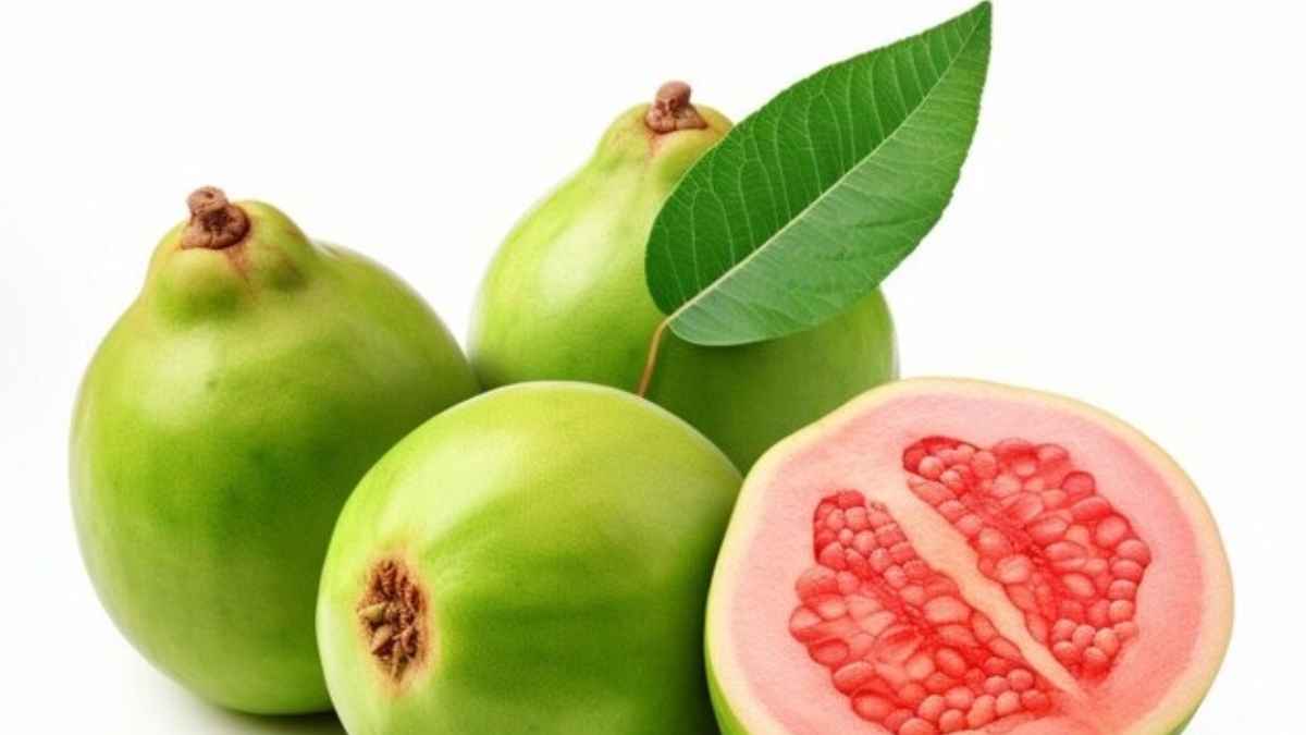 सर्दियों में अमरूद की पत्तियों की चाय है बहुत गुणकारी, जानें 5 फायदे और बनाने का तरीका