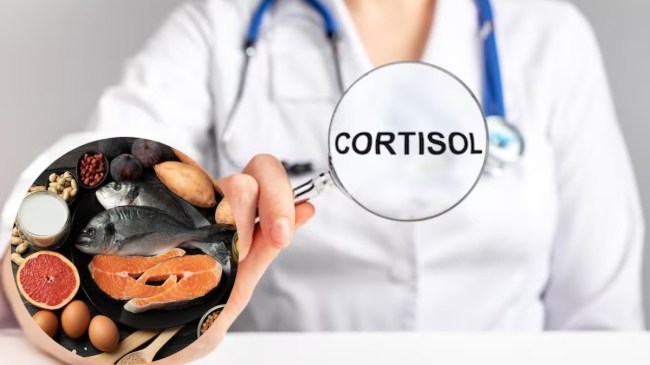 cortisol symptoms of high cortisol levels in females treatment for high cortisol levels in females low cortisol symptoms symptoms of high cortisol levels in males what causes low cortisol levels cortisol test high cortisol levels symptoms treatment cortisol levels range
