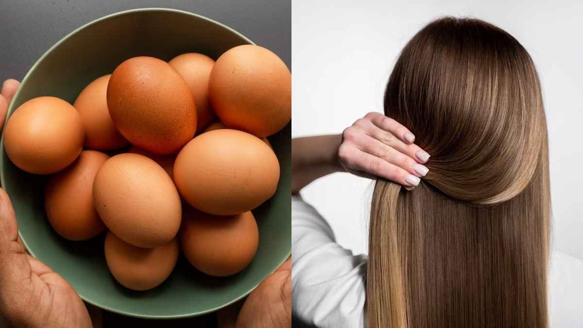 हेयर केयर में अंडे का ऐसे करें यूज, बाल देख हर कोई करेगा तारीफ