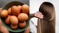 side effects of applying egg on hair egg mask for hair growth and thickness egg hair mask recipe egg hair mask for hair growth Egg hair mask benefits egg hair mask for hair fall egg hair mask for dry hair egg hair mask for frizzy hair