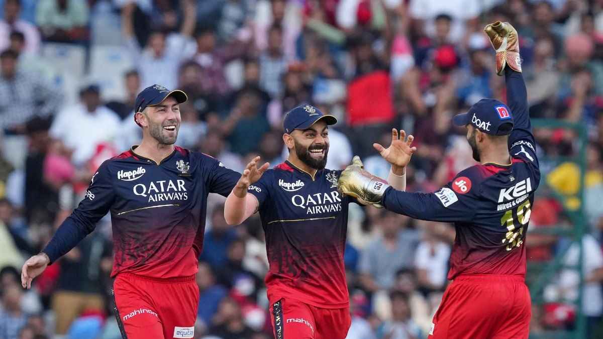RCB Player Glenn Maxwell performed brilliant watch video Big Bash League 2023-24 Adelaide Strikers vs Melbourne Stars