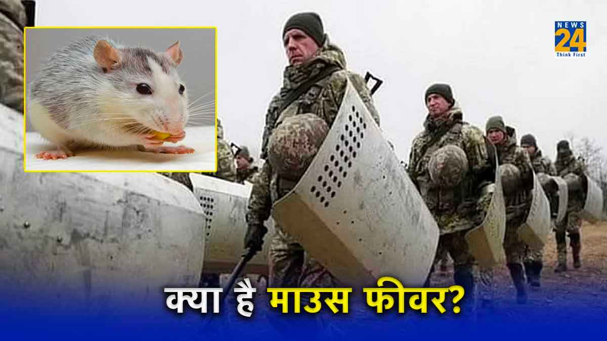Russia Mouse Fever disease