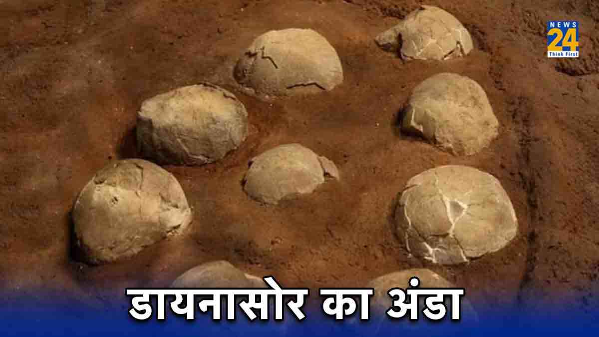 कुलदेवता मानकर जिसकी सालों से हो रही थी पूजा, अब निकला डायनासोर का अंडा