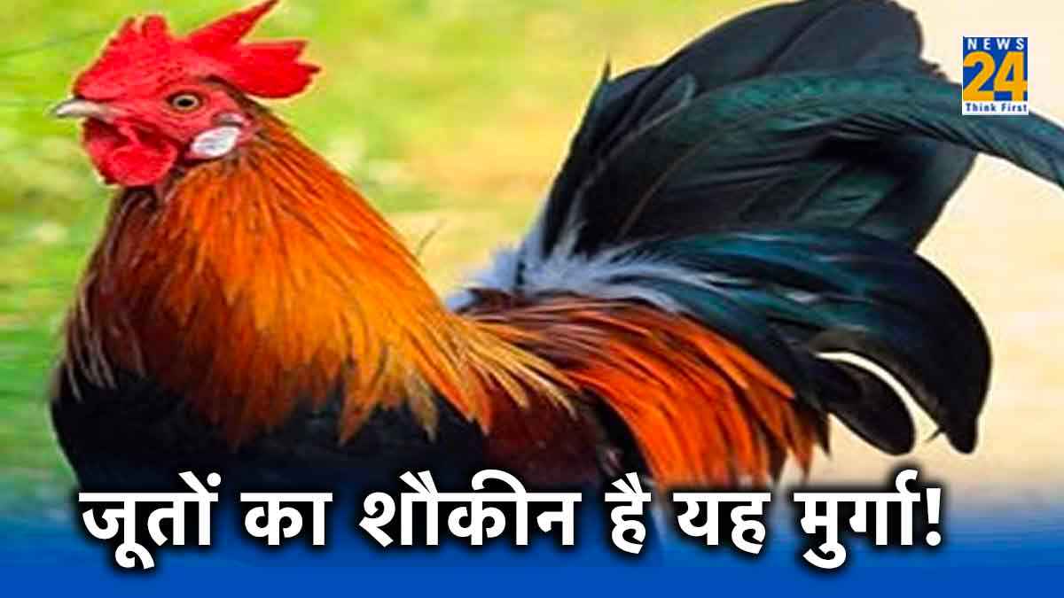 Viral video