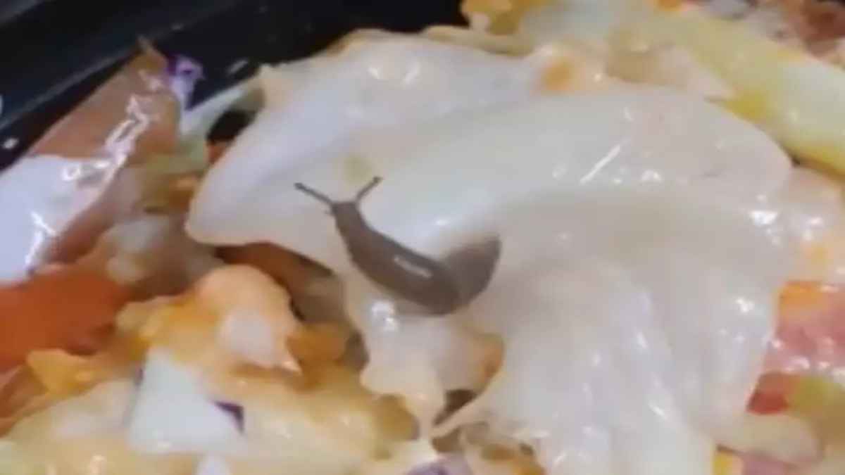 Viral Video: होटल के सलाद में रेंगता दिखा घोंघा, वीडियो पोस्ट करके कहा कहीं आपके साथ भी न हो जाए ऐसा