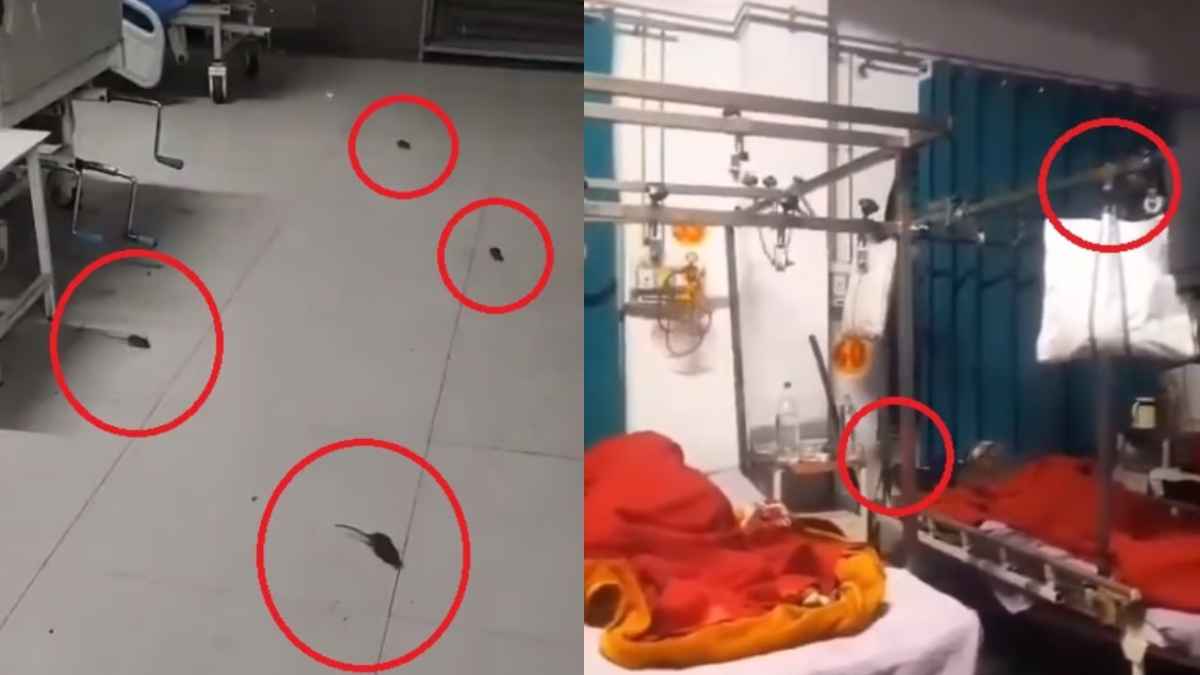 Viral Video: उत्तर प्रदेश के अस्पतालों में चूहों का उत्पात, मरीजों के ऊपर लगा रहे दौड़