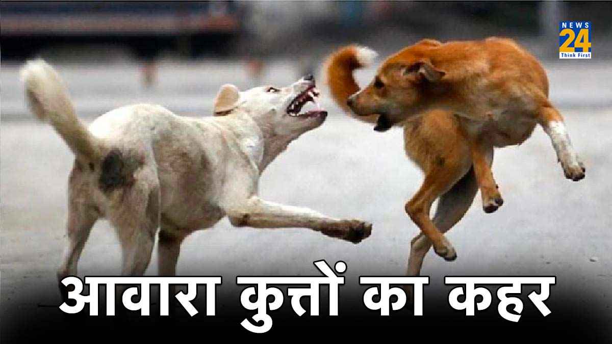 Dog Attack In Greater Noida