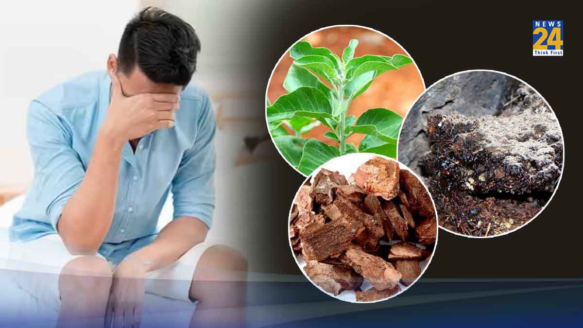 african herbs for testosterone herbs to increase testosterone in males how to increase testosterone levels quickly chinese herbs for testosterone best vitamins for testosterone testosterone booster ayurvedic herbs fenugreek vs ashwagandha for testosterone best ayurvedic medicine for testosterone booster