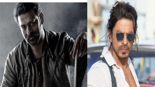 imgonline-com-ua-twotoone-BdrWSpjMDKCWzUH (1)