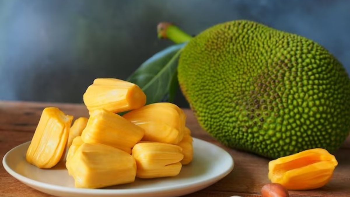after eating jackfruit which to avoid how long should i wait to drink milk after eating jackfruit can we eat jackfruit and mango together jackfruit food poisoning can we eat jackfruit and milk together can we eat jackfruit and curd together