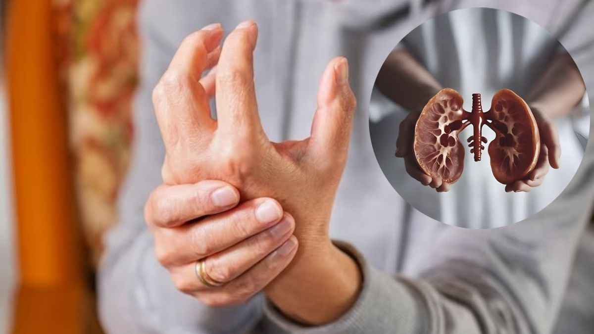 kidney disease symptoms in females what is the first sign of kidney problems chronic kidney disease stages types of kidney disease what is the latest treatment for chronic kidney disease? what can cause damage to your kidneys chronic kidney disease causes what are the signs of dying from kidney failure?