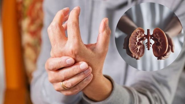 kidney disease symptoms in females what is the first sign of kidney problems chronic kidney disease stages types of kidney disease what is the latest treatment for chronic kidney disease? what can cause damage to your kidneys chronic kidney disease causes what are the signs of dying from kidney failure?