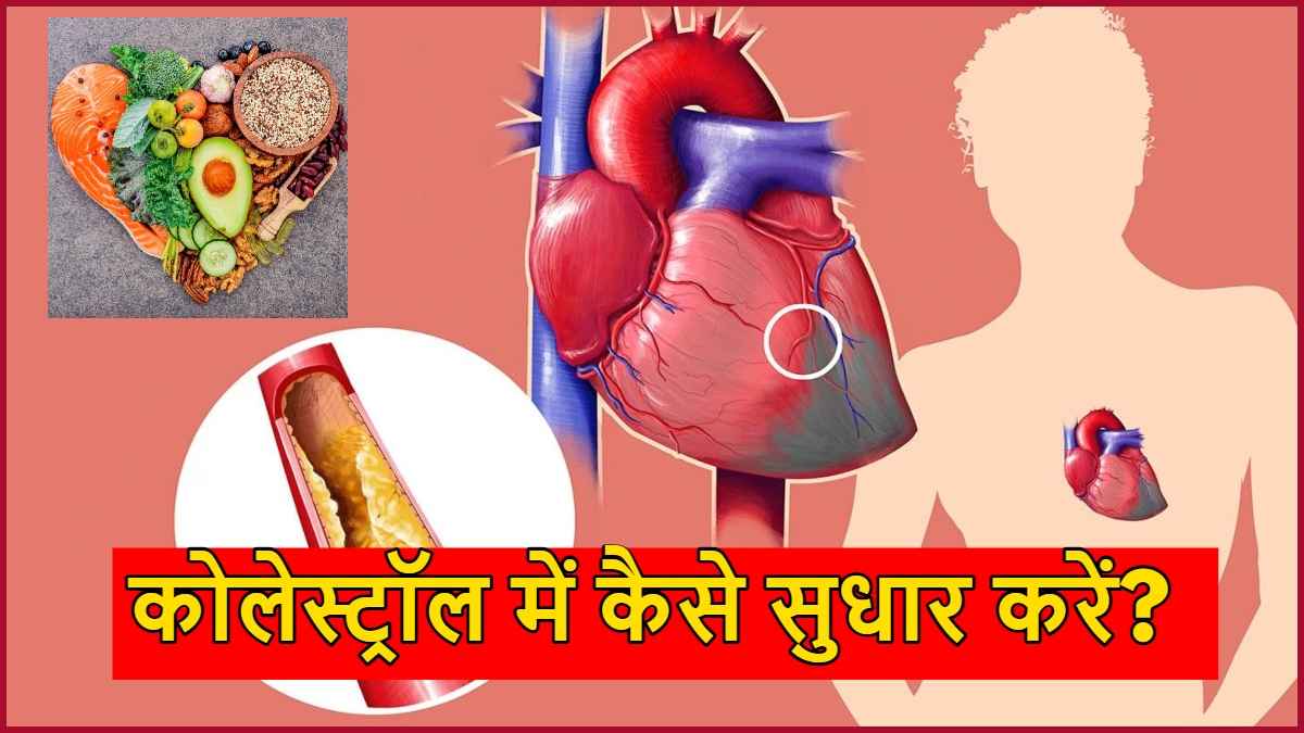 cholesterol levels, cholesterol normal range, cholesterol foods,, cholesterol test, hdl cholesterol, symptoms of high cholesterol in females, cholesterol symptoms, cholesterol structure, how to reduce cholesterol in 30 days, what reduces cholesterol quickly naturally, how to reduce cholesterol in 7 days naturally 40 foods to lower cholesterol, foods to avoid with high cholesterol, how to reduce cholesterol without medication, how to reduce ldl cholesterol, diet to lower cholesterol, कोलेस्ट्रॉल