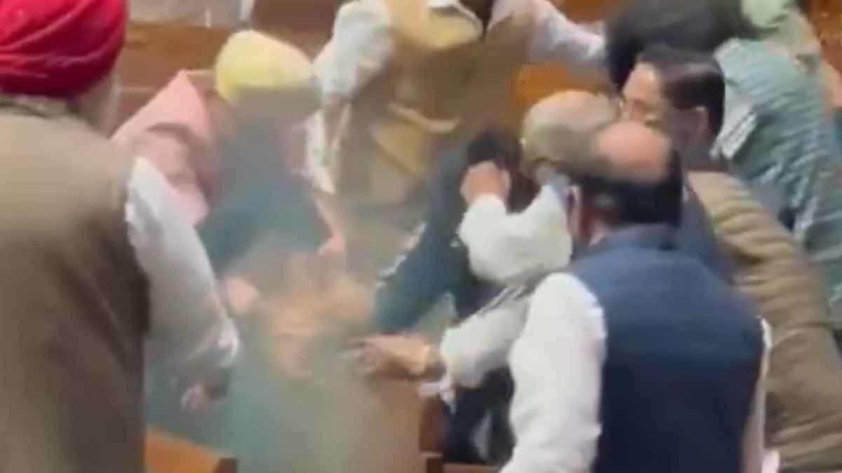 संसद में घुसे शख्स की 11 सांसदों ने की जमकर धुनाई, बाल पकड़कर लगाई मार, वीडियो वायरल
