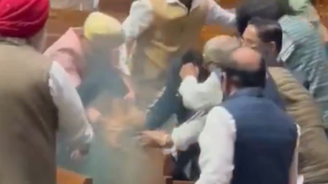 parliament security breach 11 MPs beat up man who jumped in loksabha, video viral