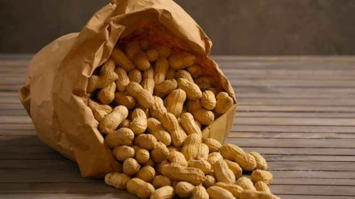 किन लोगों को नहीं खानी चाहिए मूंगफली और क्यों? नुकसान जानें और करें बचाव