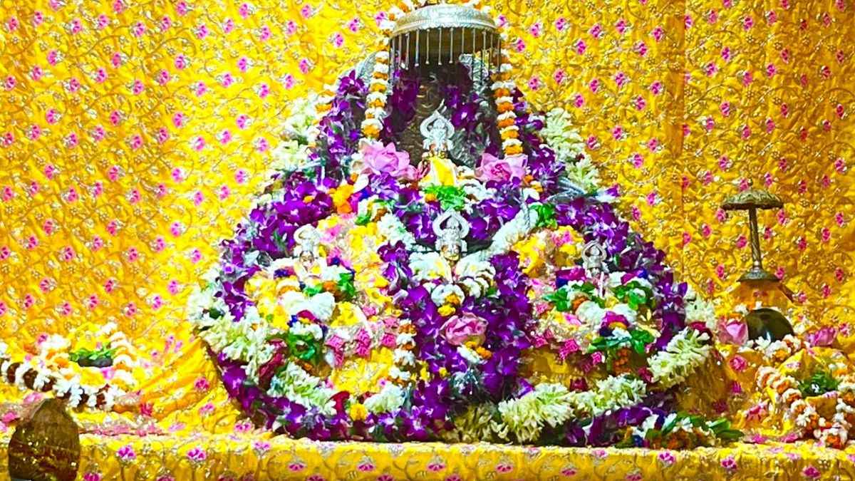 Ram Mandir: सिर्फ 'इनवाइटी' नेता ही पहुंचेंगे अयोध्या, बाकी 'माननीयों' को BJP ने दी यह सलाह