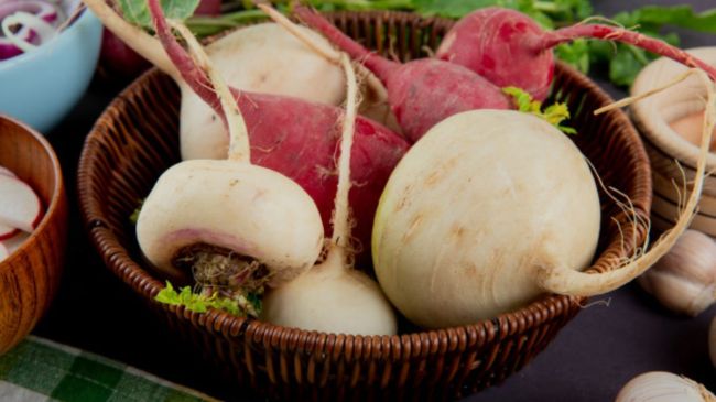 Turnip benefits in winter in india Turnip benefits in winter in hindi Turnip benefits in winter for skin Green turnip benefits in winter turnip season in india turnip side effects shalgam benefits for skin