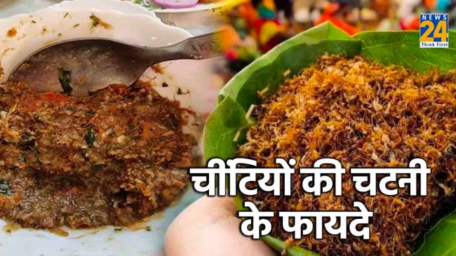 Red ants chutney got GI tag