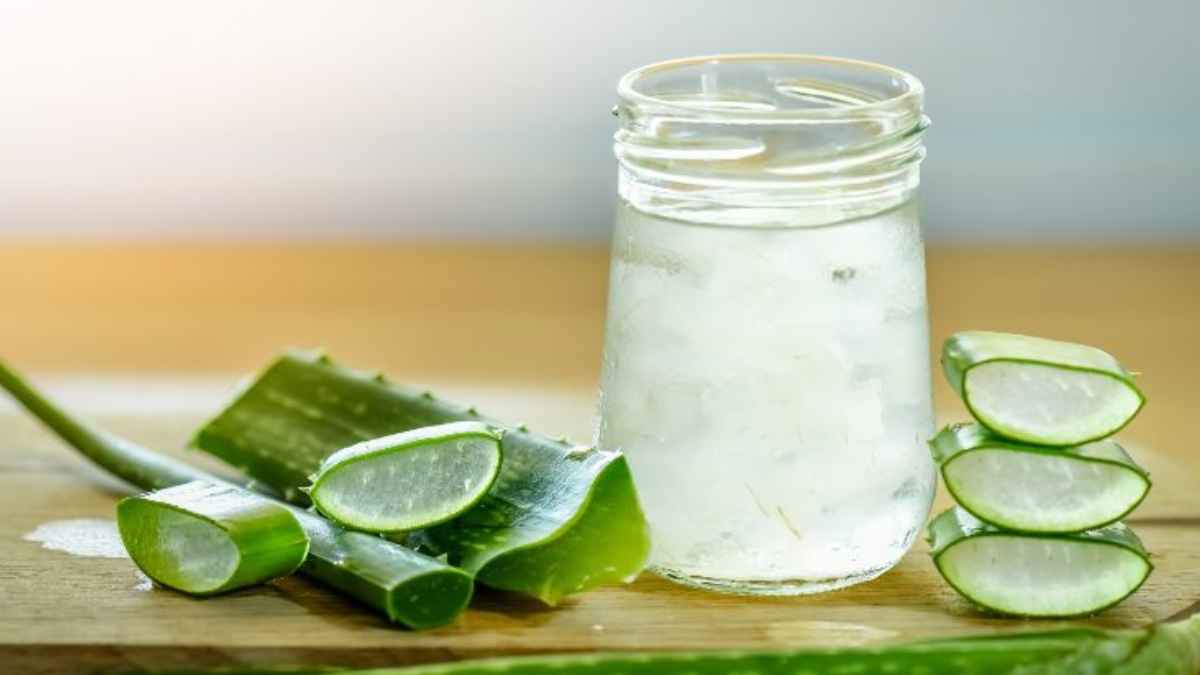 Aloe Vera: सिर्फ स्किन के लिए ही नहीं वजन कम करने के लिए भी फायदेमंद है एलोवेरा!
