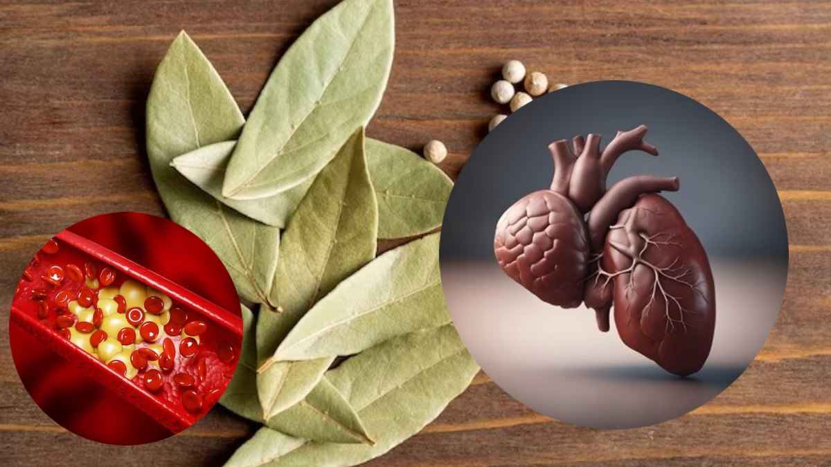 Bay leaf benefits