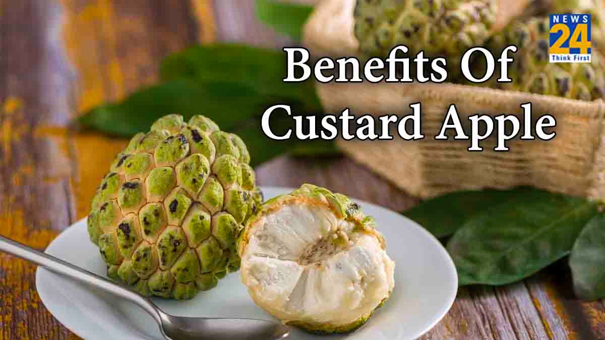 Benefits Of Custard Apple eating benefits for female better health tips in hindi