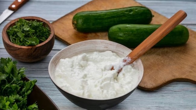 Curd Eating Benefits in winter