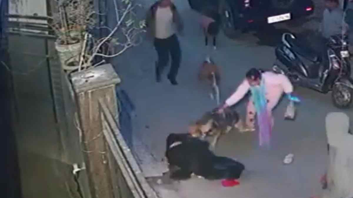 Delhi Dog Attack Viral Video
