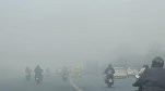 Delhi NCR Dense Fog Delayed Flights Trains