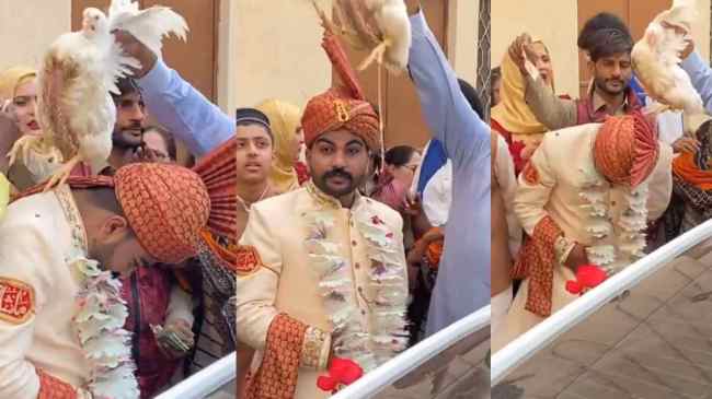 Funny Wedding Viral Video Funny Wedding Viral Video