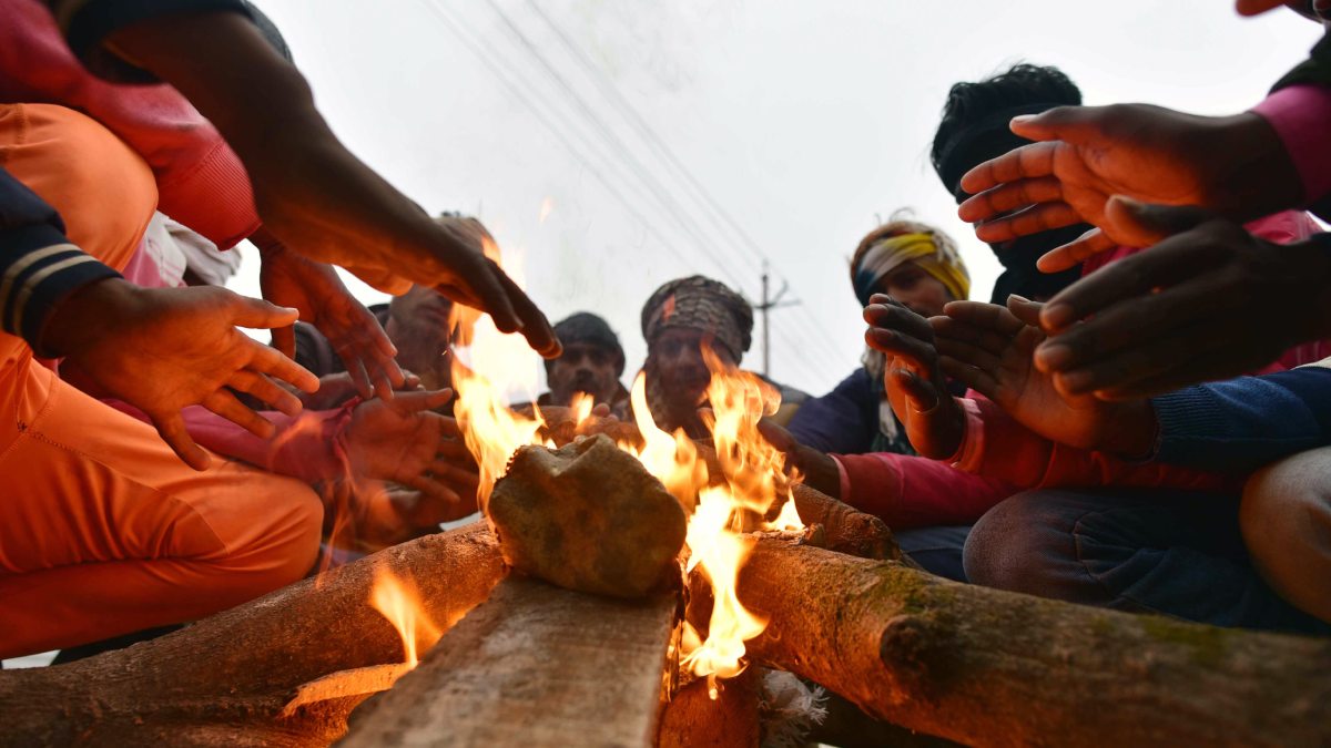 IMD Weather Forecast: severe cold wave red alert delhi punjab haryana rajasthan north india Weather latest update