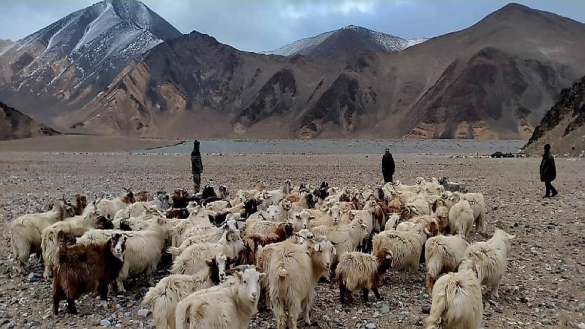 India China Ladakh Border
