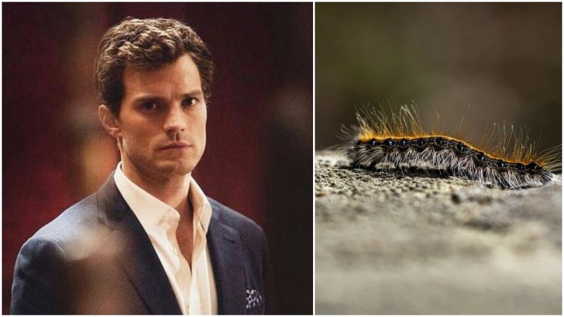 Jamie Dornan and Caterpillar