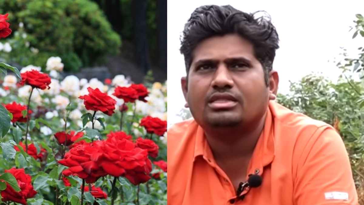 MBA Farmer Success Story