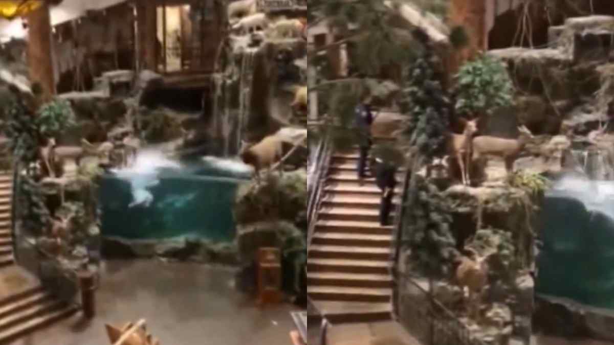 Man Dive Into Aquarium Without clothes video goes viral Bass Pro Shop in Leeds, Alabama.