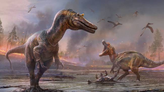 Dinoaurs With different size.