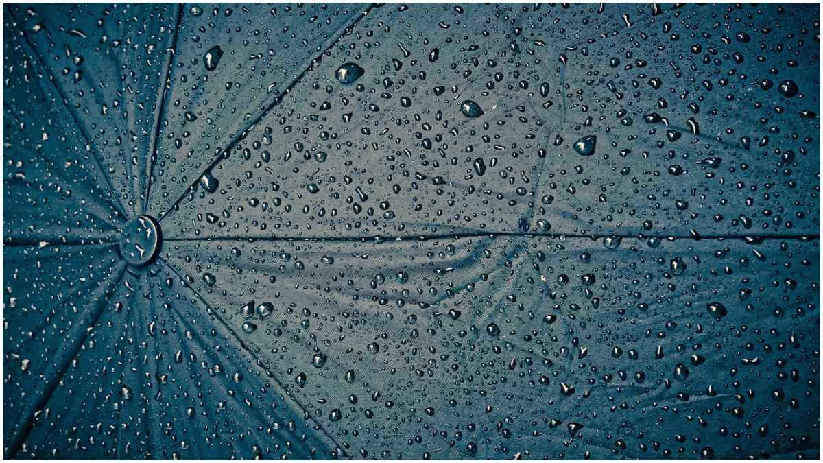 Raindrops on Umbrella