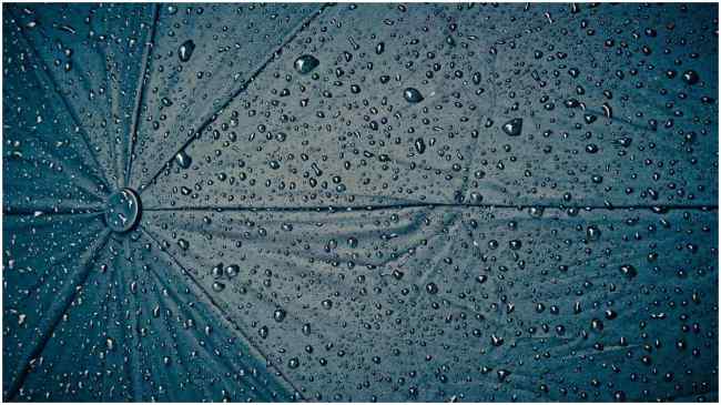 Rain Raindrops on Umbrella