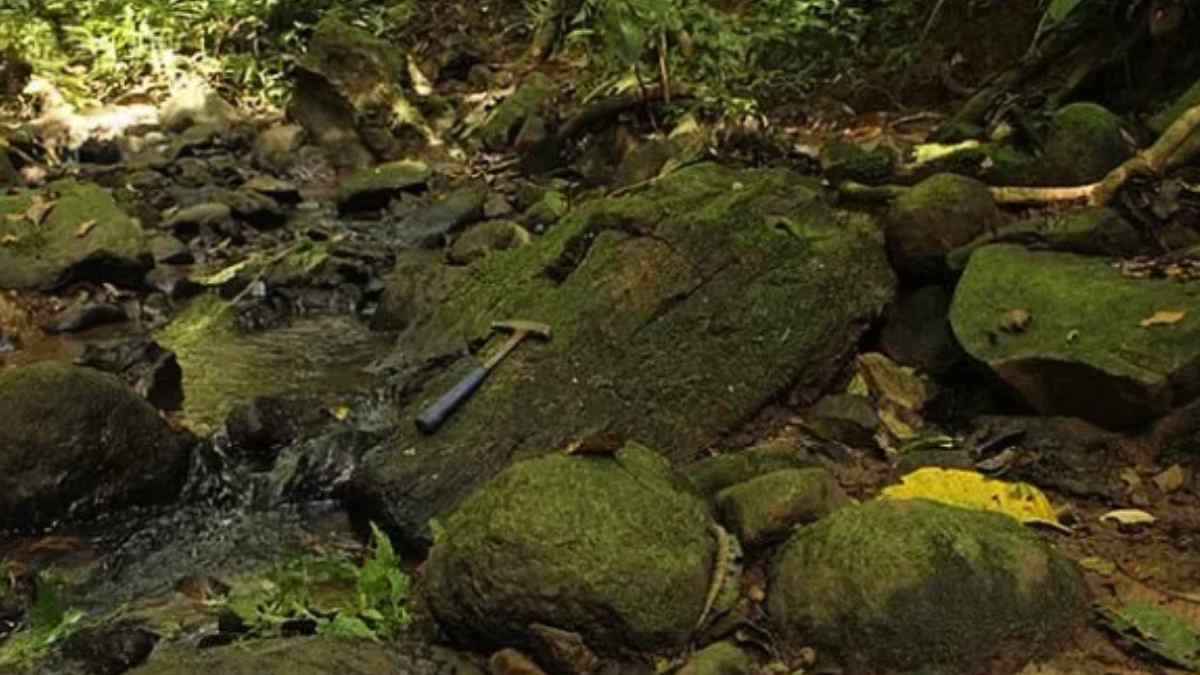 कामयाबी! 2 करोड़ साल पहले ज्‍वालामुखी में समाई दुनिया को फ‍िर से ढूंढ न‍िकाला