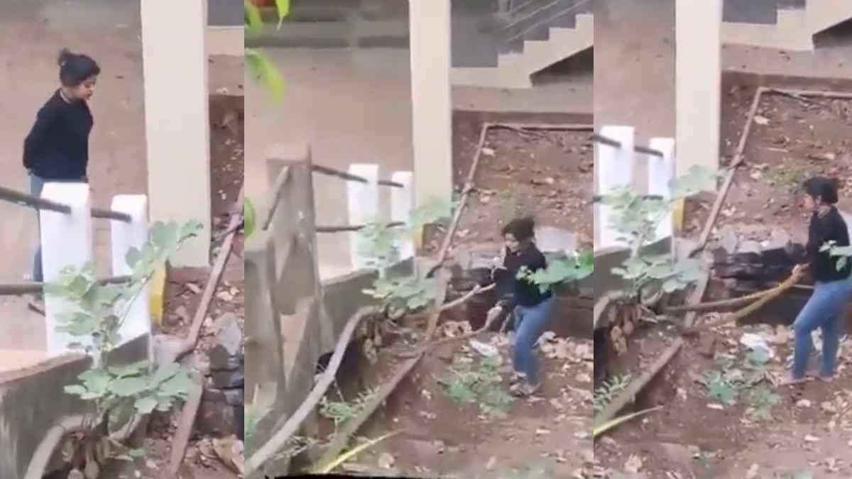 डरकर के मारे लोग रहे थे कांप, लड़की ने दोनों हाथों से पकड़े दो सांप; देखिए वीडियो