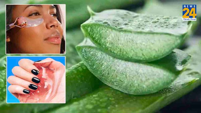 Aloe Vera Viral Hacks for Beauty Tips