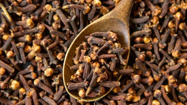 clove benefits in winter season diet