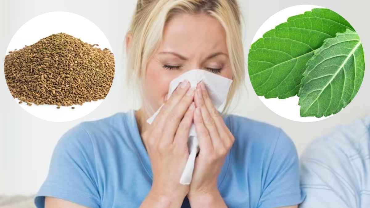 सर्दी-खांसी से नहीं मिल रहा छुटकारा? ये 10 घरेलू नुस्खे हैं कारगर