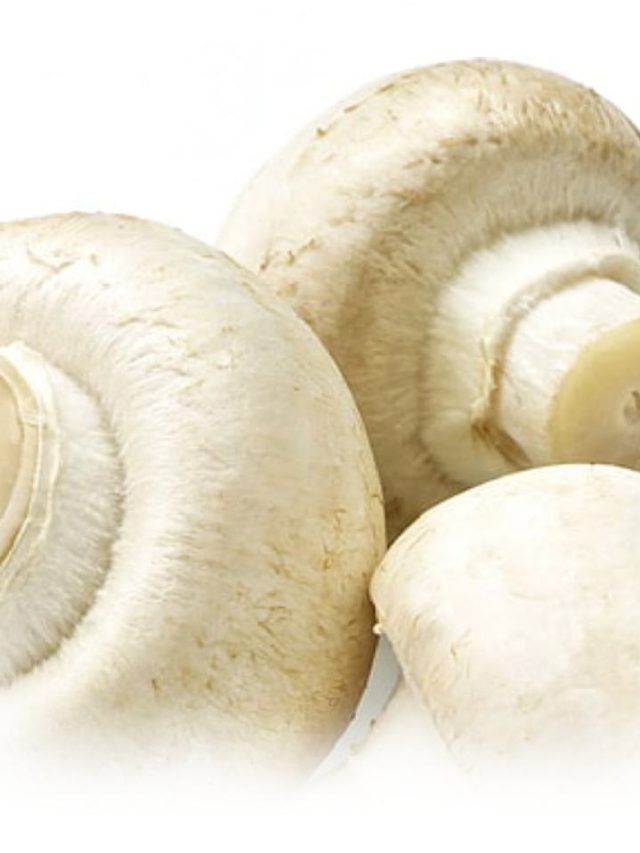 सर्दियों में Mushroom खाने के हैं गजब के फायदे - News24 Hindi