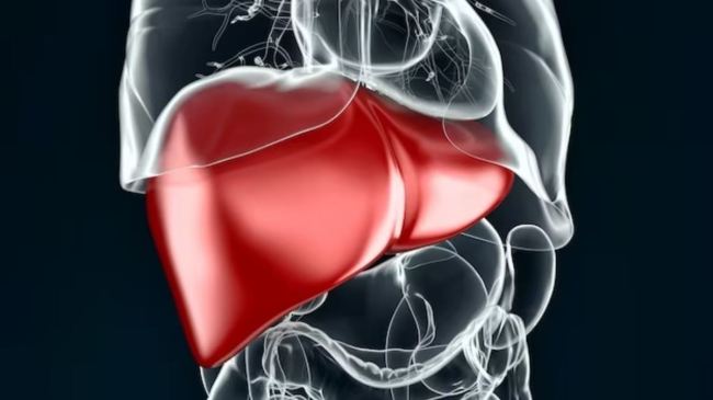 Enlarged liver